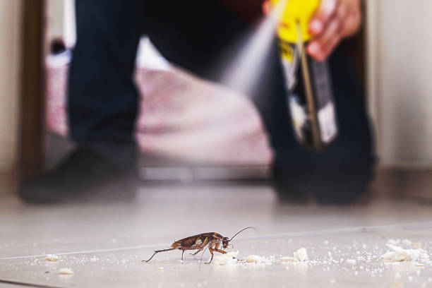 Best Emergency Pest Control  in Kingsport, TN