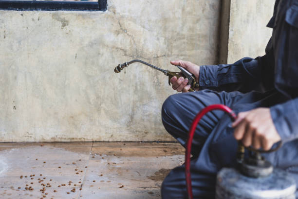 Pest Control Cost in Kingsport, TN